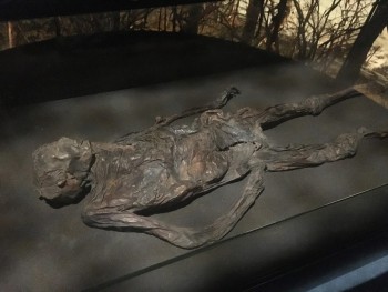 Figure 4: The Haraldskær Woman, Kulturmuseet Spinderihallerne, Vejle (Photograph: M. Schlanker 2018)